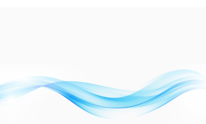 Black And Lime Green Modern Black Friday Sale Gift Certificate (720 × 720 px) (500 × 500 px) (500 × 333 px) (100 × 100 px) (100 × 120 px) (300 × 300 px) (1300 × 740 px) (1000 × 600 px)